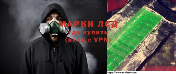 гашик Дмитров