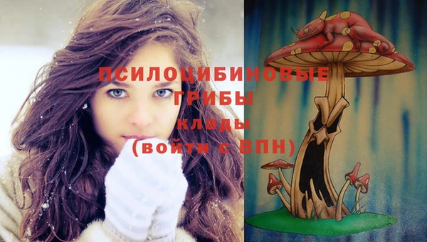 метадон Заволжье