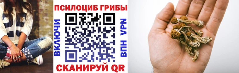Псилоцибиновые грибы прущие грибы  Волгодонск 